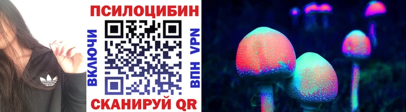 Купить где Волжский Псилоцибиновые грибы прущие грибы